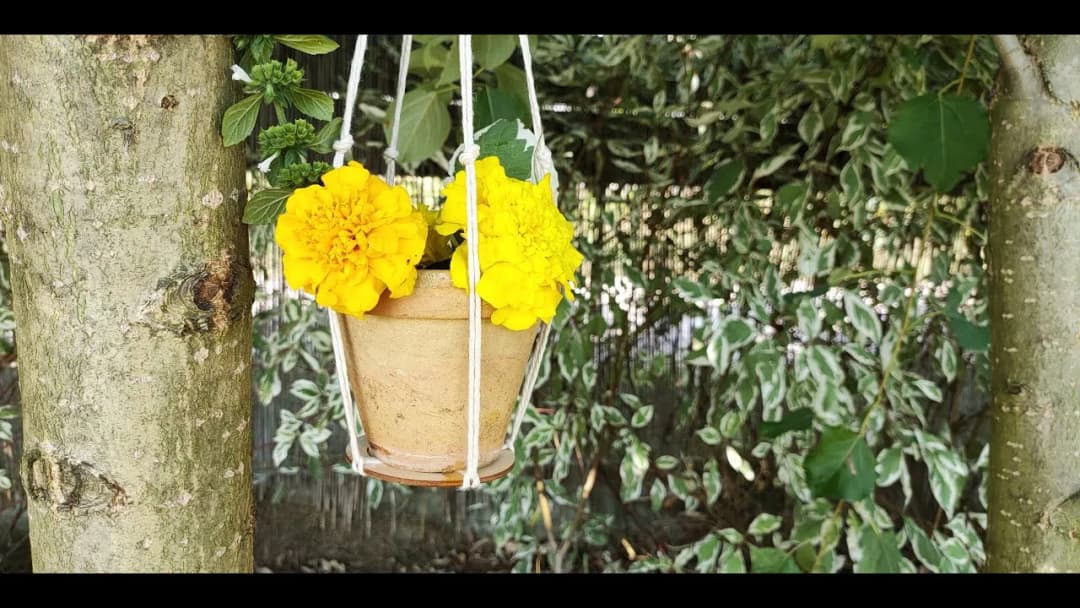 Jak zrobić kwietnik na działce: 8 prostych kroków + porady