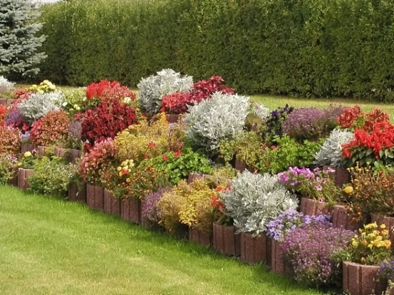 TOP kwiaty do kwietnika: piękny ogród bez trudu i kosztów