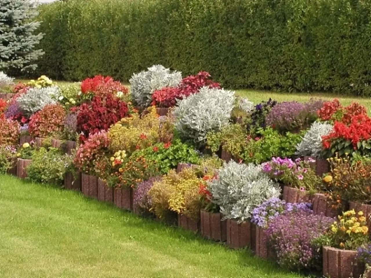 TOP kwiaty do kwietnika: piękny ogród bez trudu i kosztów